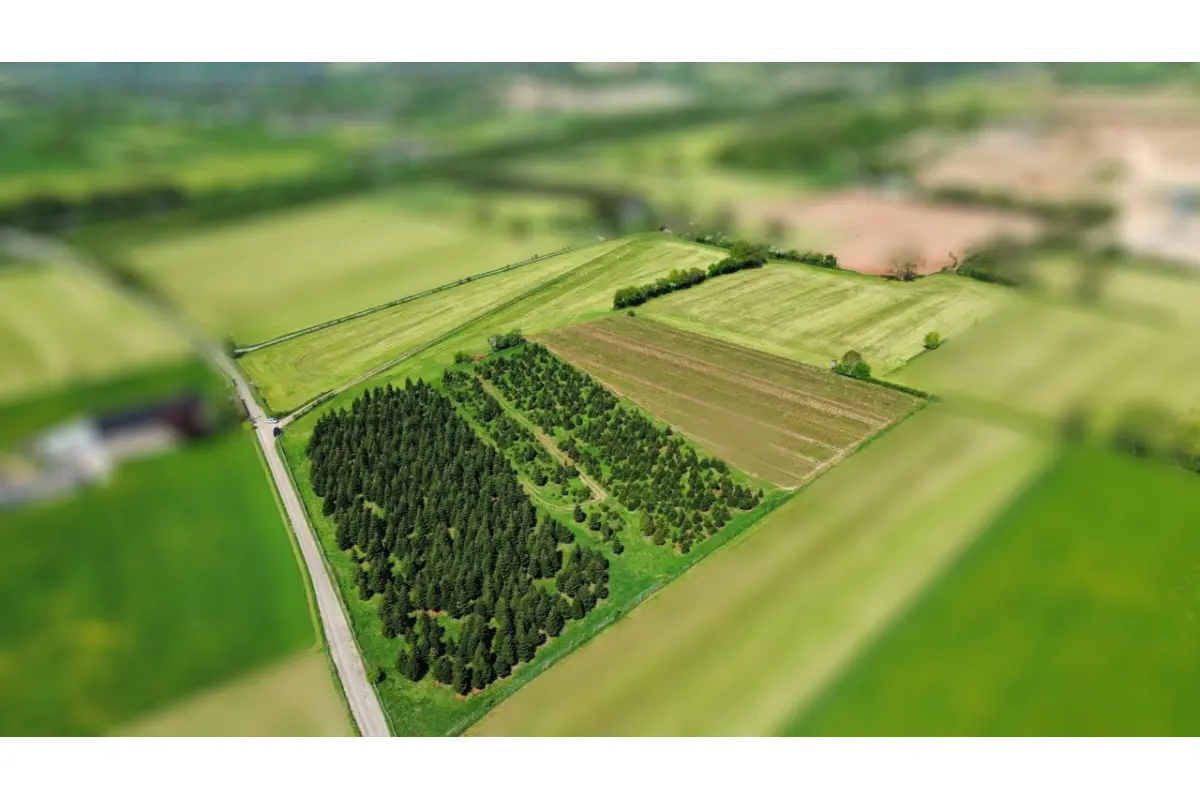 Terrain à vendre à Lontzen 4710 295000.00€  chambres m² - annonce 465069