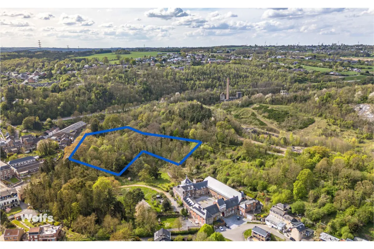 Terrain à vendre à Ampsin 4540 160000.00€  chambres m² - annonce 469441