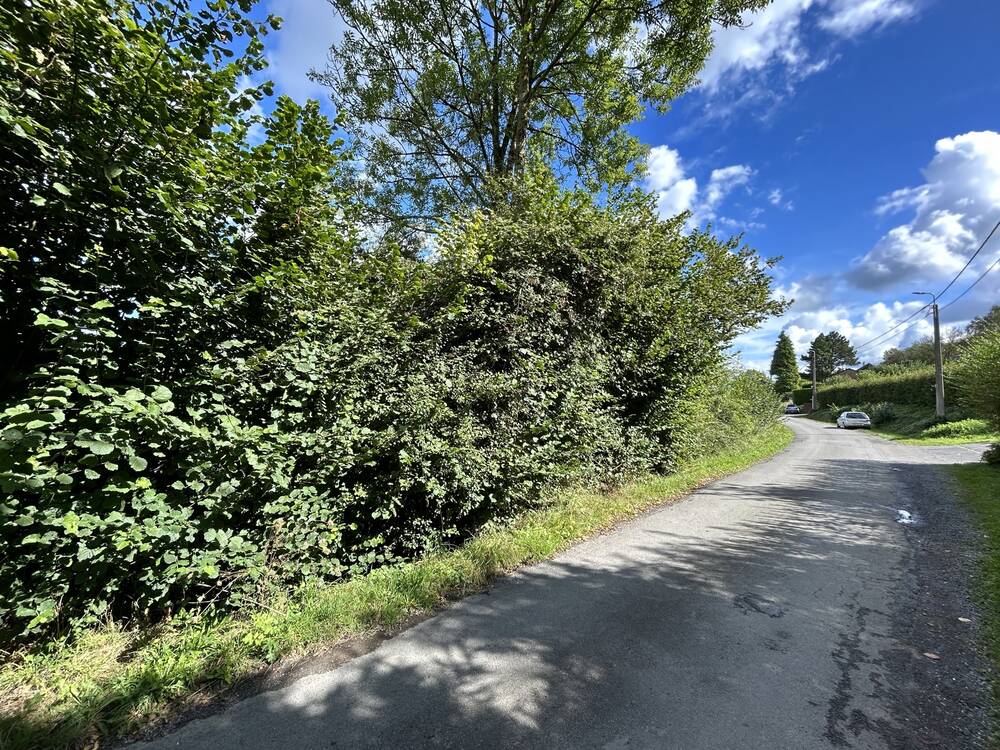 Terrain à vendre à Aywaille 4920 110000.00€ chambres m² - annonce 485287