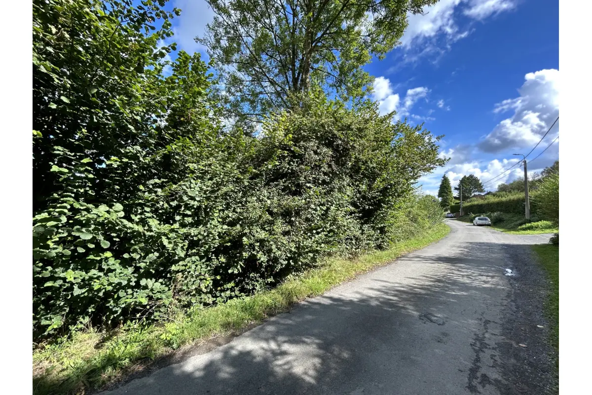 Terrain à vendre à Aywaille 4920 110000.00€  chambres m² - annonce 485287