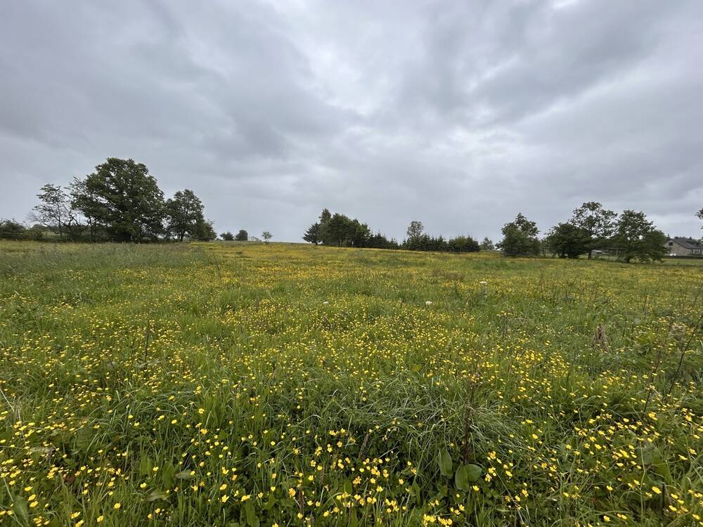 Terrain à vendre à Stavelot 4970 120500.00€ chambres m² - annonce 489186