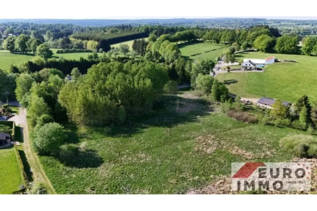Terrain à vendre à Faymonville 4950 170000.00€  chambres m² - annonce 489506