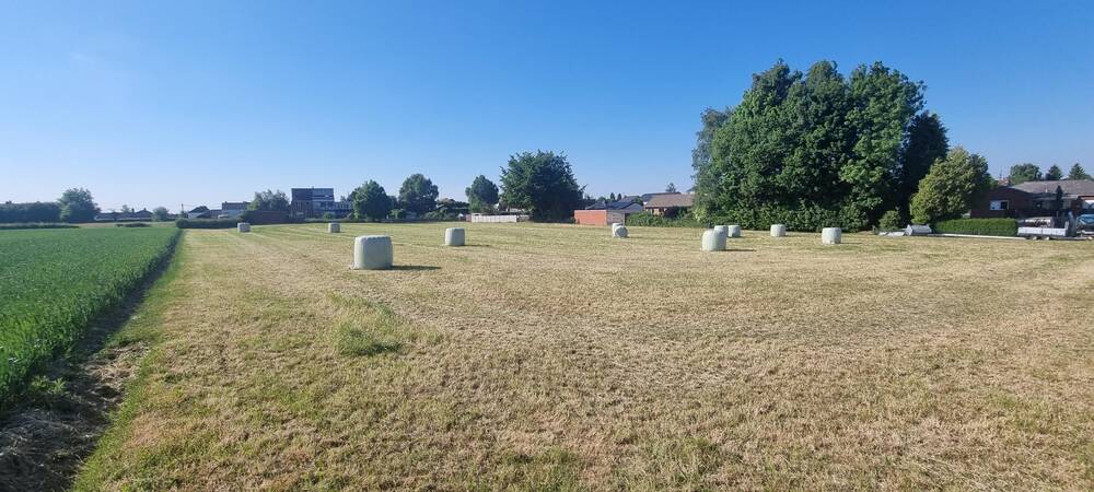 Terrain à bâtir à vendre à Soumagne 4630 420000.00€ chambres m² - annonce 492430