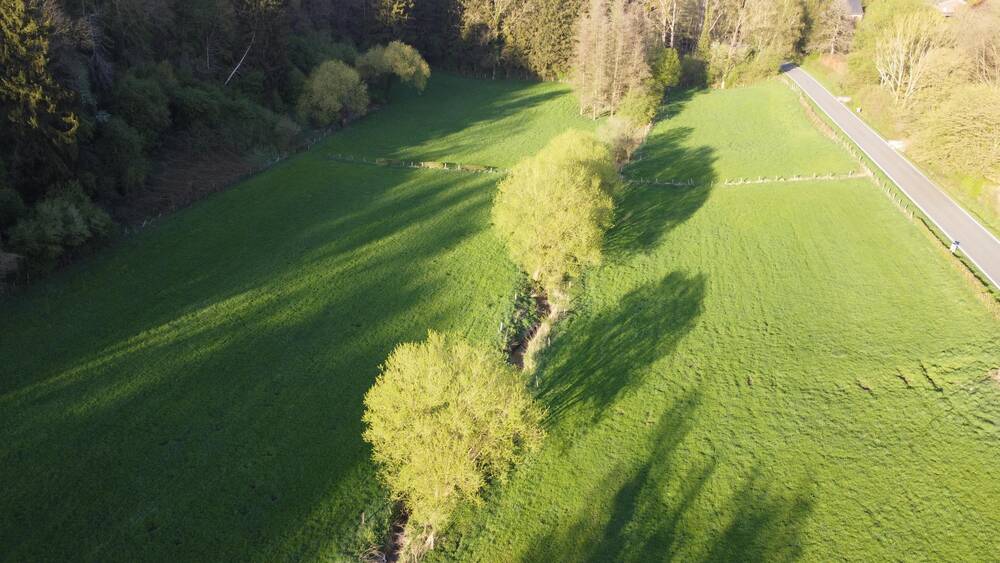 Terrain à vendre à Olne 4877 30000.00€ chambres m² - annonce 492202