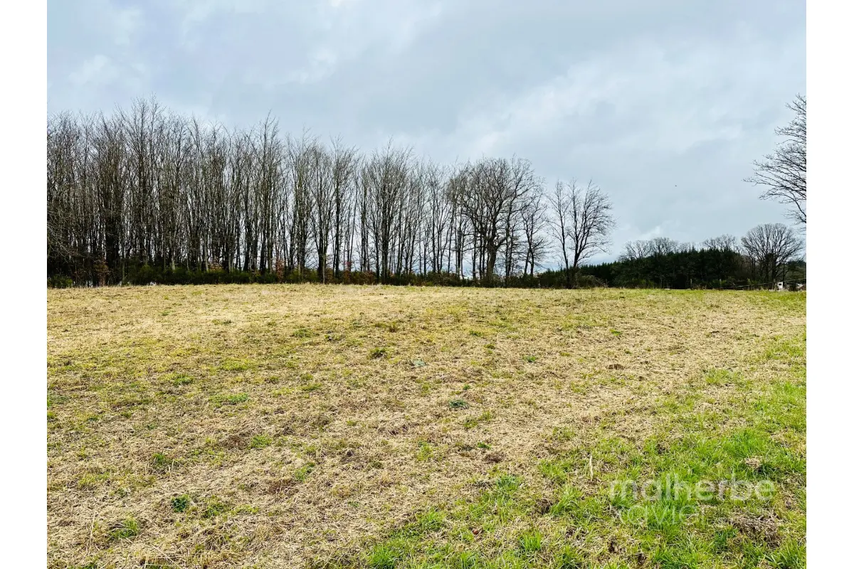 Terrain à vendre à Bullange 4760 75000.00€  chambres m² - annonce 498655