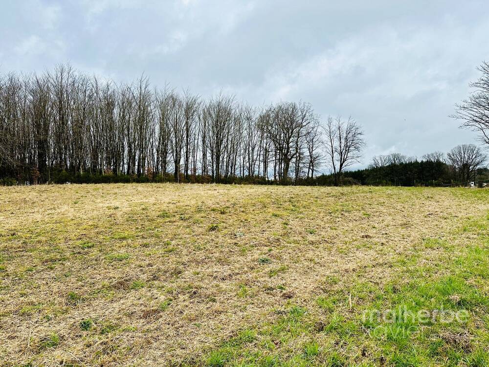 Terrain à vendre à Bullange 4760 85000.00€ chambres m² - annonce 498655