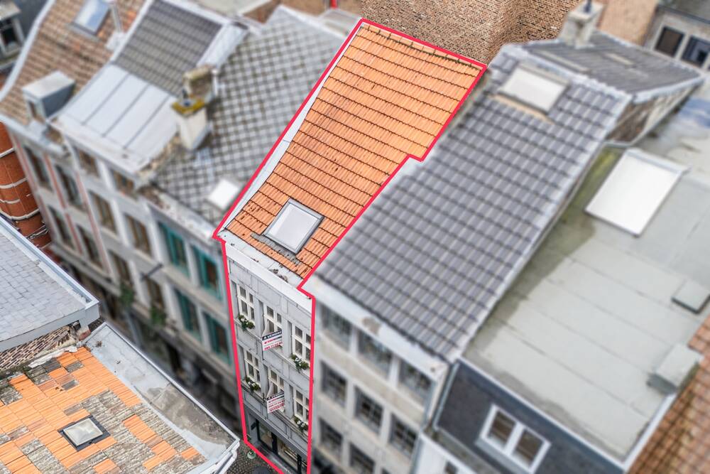 Immeuble de rapport - Immeuble à appartement à vendre à Liège 4000 270000.00€ chambres 172.00m² - annonce 498677