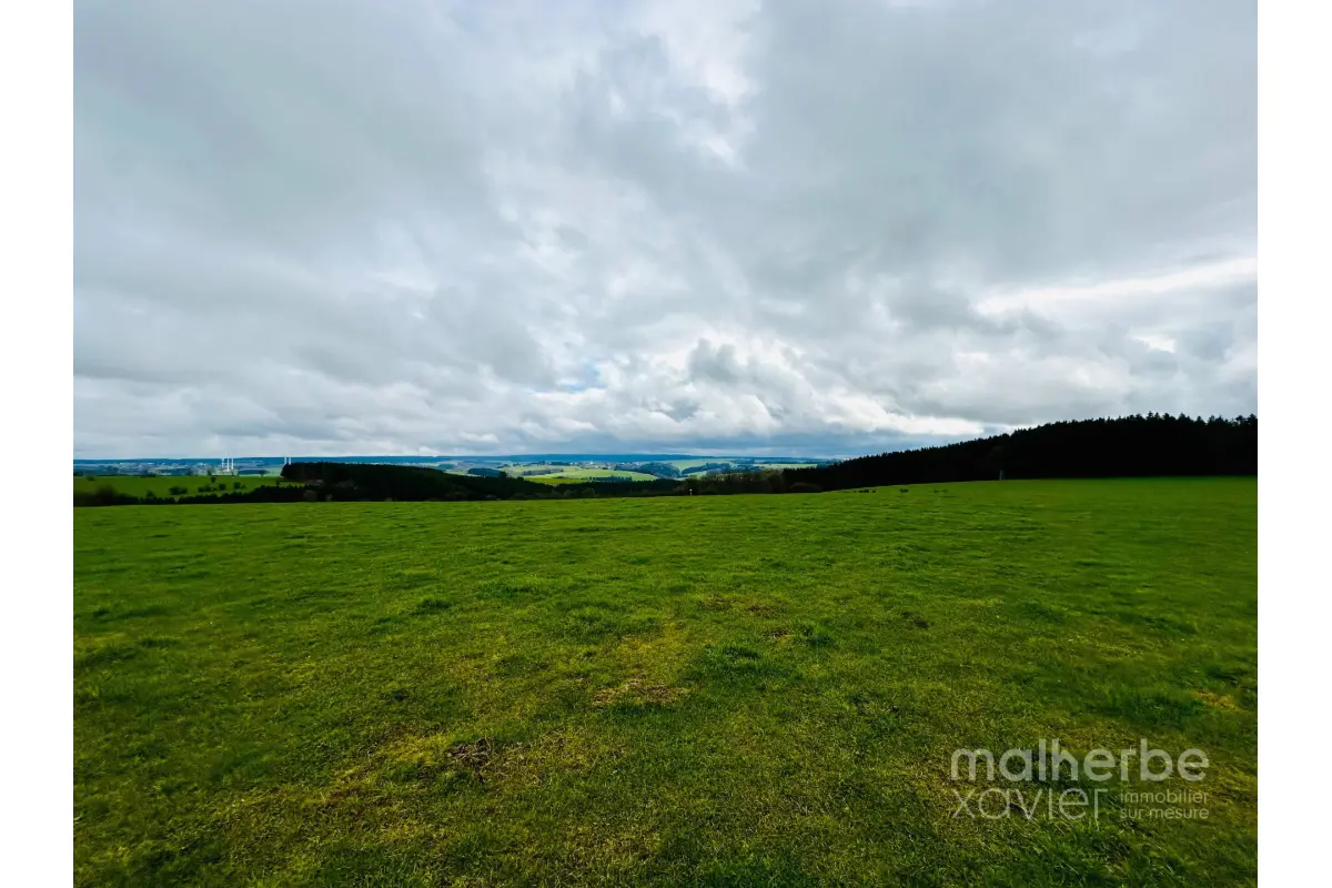 Terrain à vendre à Bullange 4760 96000.00€  chambres m² - annonce 498679