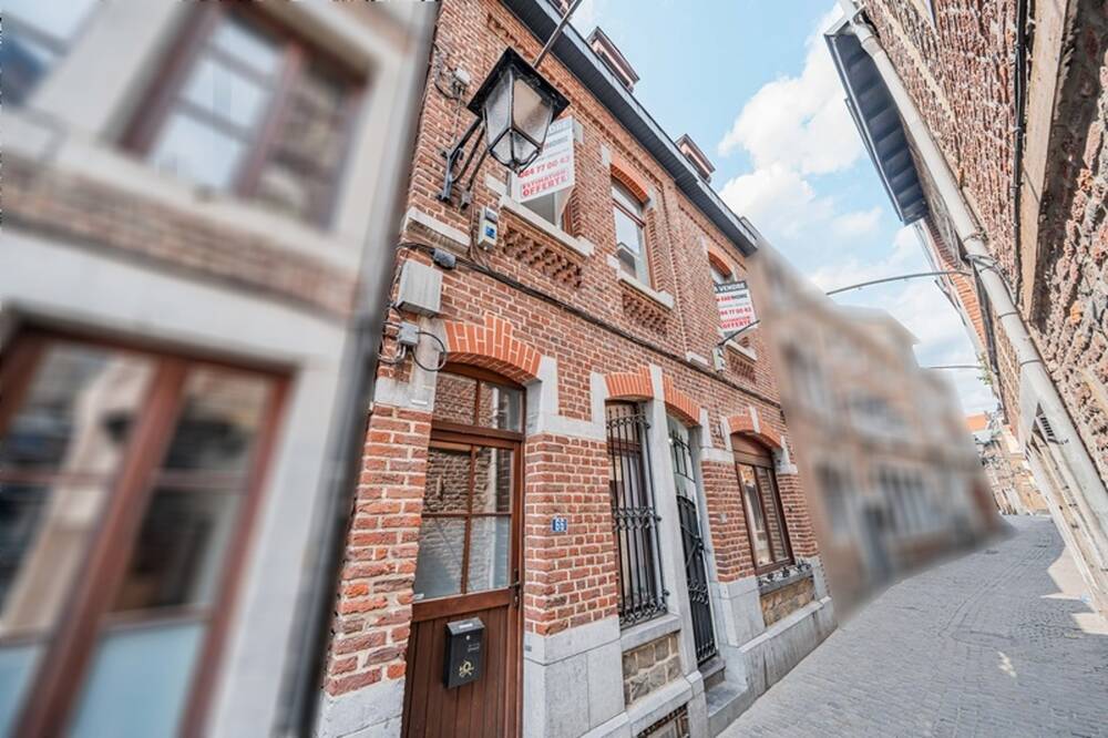 Immeuble de rapport - Immeuble à appartement à vendre à Liège 4020 375000.00€ 5 chambres 255.00m² - annonce 497942