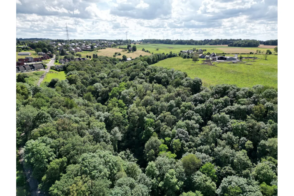 Terrain à vendre à Marchin 4570 40000.00€  chambres m² - annonce 550119