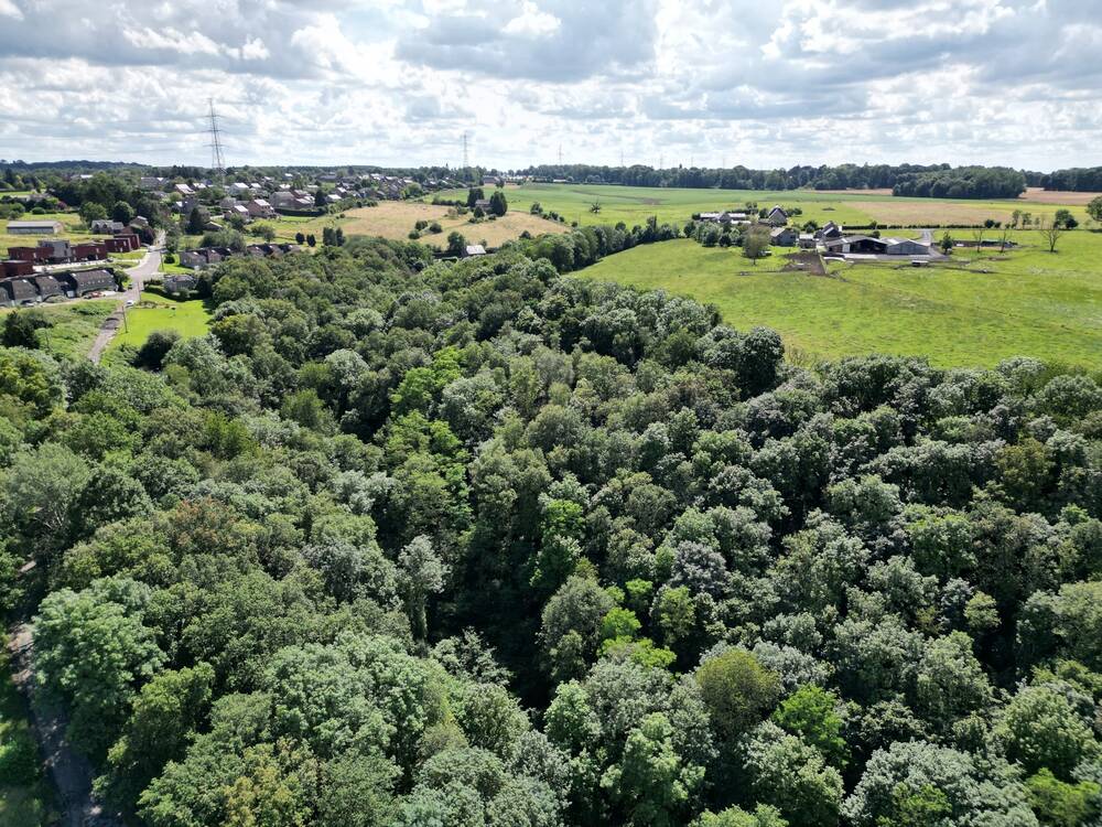 Terrain à vendre à Marchin 4570 40000.00€ chambres m² - annonce 550119