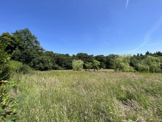 Terrain à vendre à Hergenrath 4728 139000.00€  chambres m² - annonce 494389