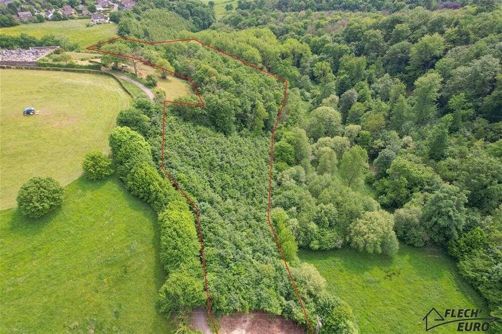 Terrain à vendre à Lambermont 4800 47000.00€  chambres m² - annonce 509144