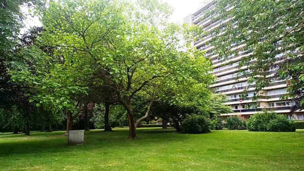 Appartement à vendre à Liège 4000 110000.00€  chambres m² - annonce 509714
