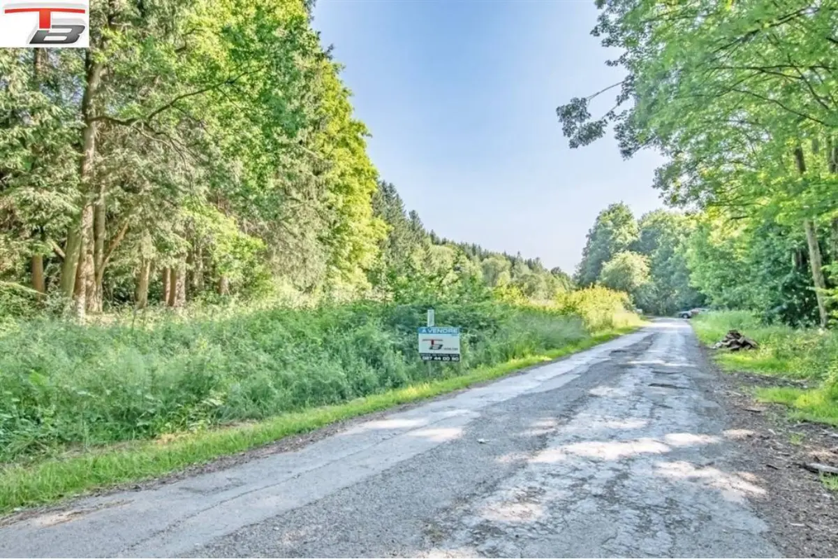 Terrain à vendre à Chevron 4987 145000.00€  chambres m² - annonce 545300