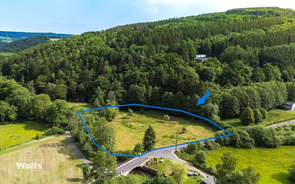Terrain à vendre à Lierneux 4990 165000.00€  chambres m² - annonce 512663