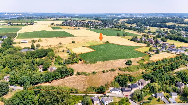 Maison à vendre à Dalhem 4607 700000.00€ chambres m² - annonce 523180