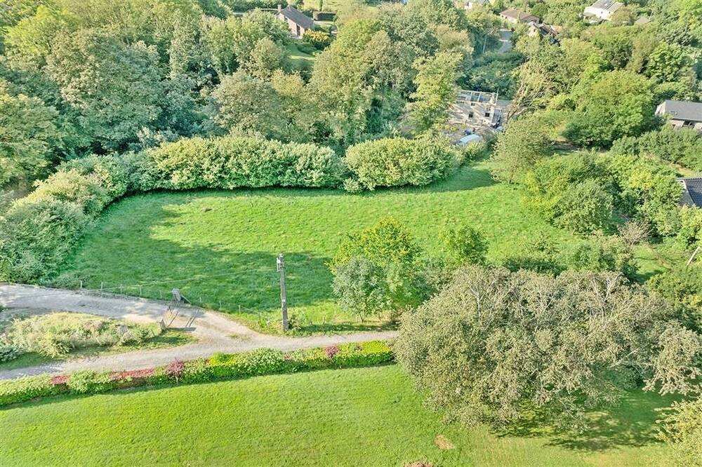 Terrain à vendre à Aywaille 4920 229000.00€ chambres m² - annonce 528183