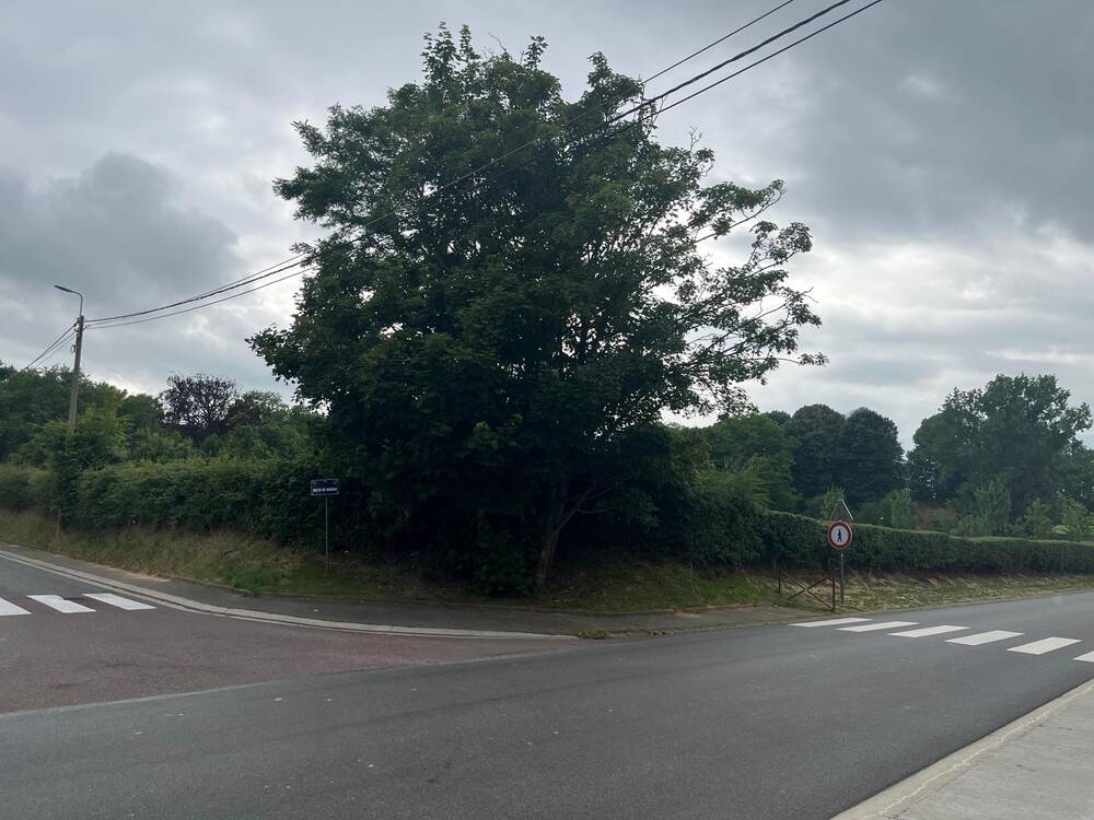 Terrain à vendre à Alleur 4432 250000.00€  chambres m² - annonce 533800
