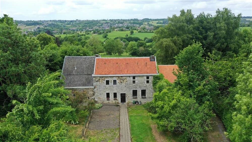 Maison à vendre à Soumagne 4630 450000.00€ 3 chambres 219.00m² - annonce 538874