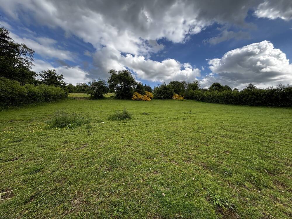 Terrain à bâtir à vendre à Francorchamps 4970 195000.00€  chambres m² - annonce 544484