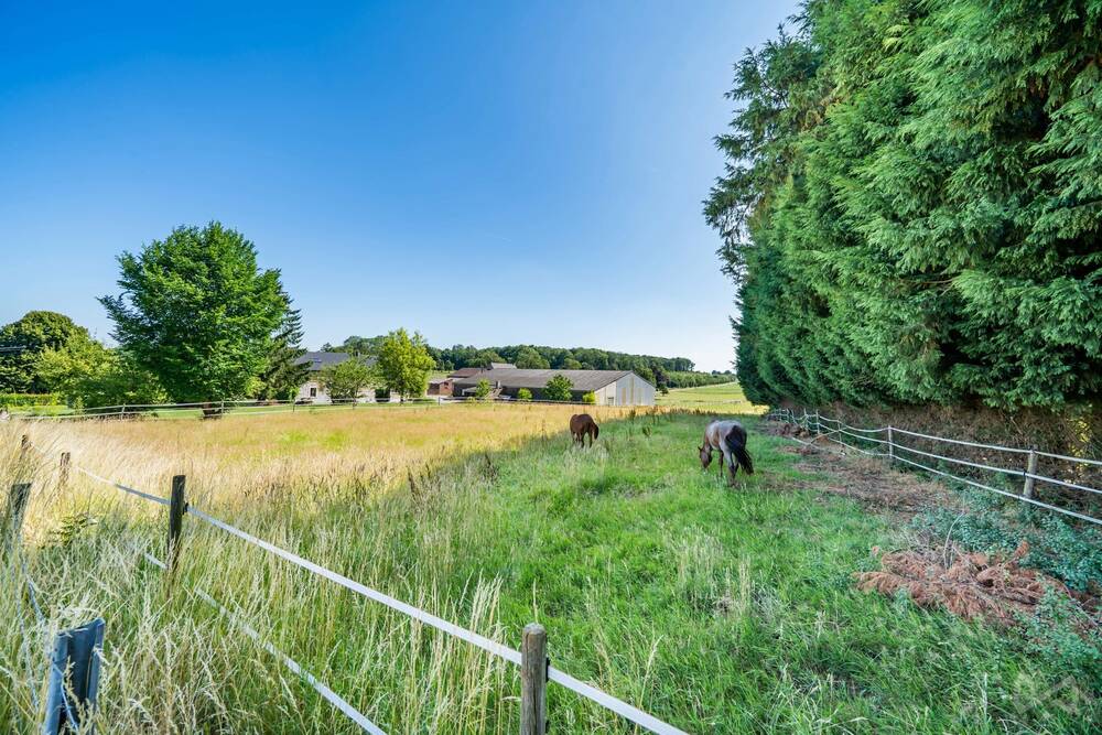 Terrain à vendre à Ouffet 4590 150000.00€ chambres m² - annonce 546373