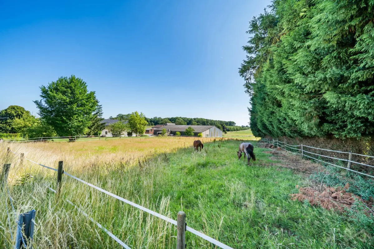 Terrain à vendre à Ouffet 4590 150000.00€  chambres m² - annonce 546373