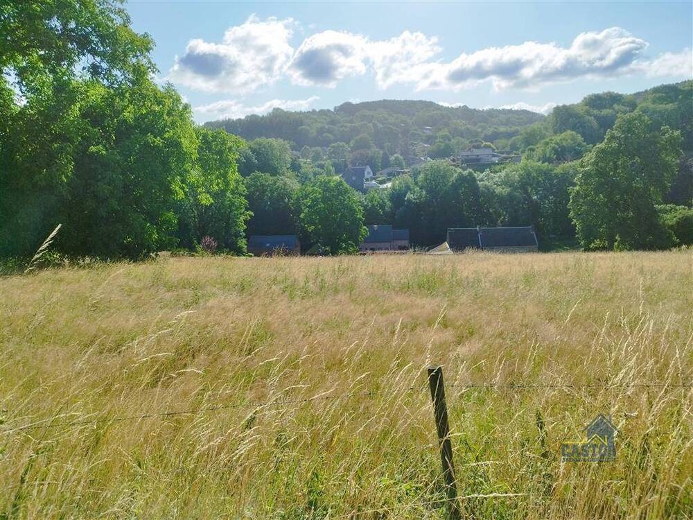 Terrain à vendre à Harzé 4920 165000.00€  chambres m² - annonce 548319