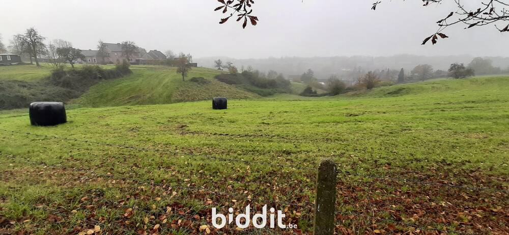 Terrain à vendre à Saint-Remy 4672 210000.00€ chambres m² - annonce 549286
