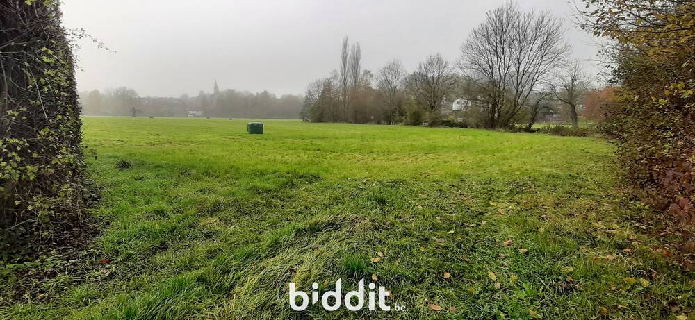 Terrain à vendre à Saint-Remy 4672 10000.00€  chambres m² - annonce 550056