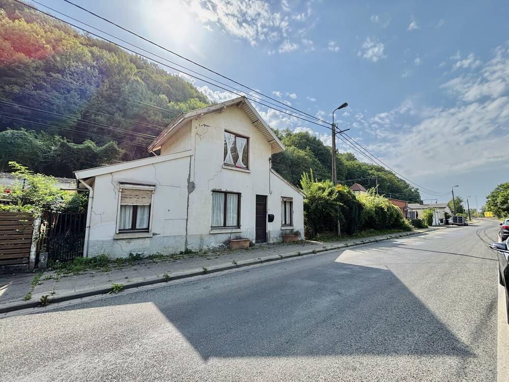 Maison à vendre à Argenteau 4601 89000.00€ 1 chambres 82.00m² - annonce 553175