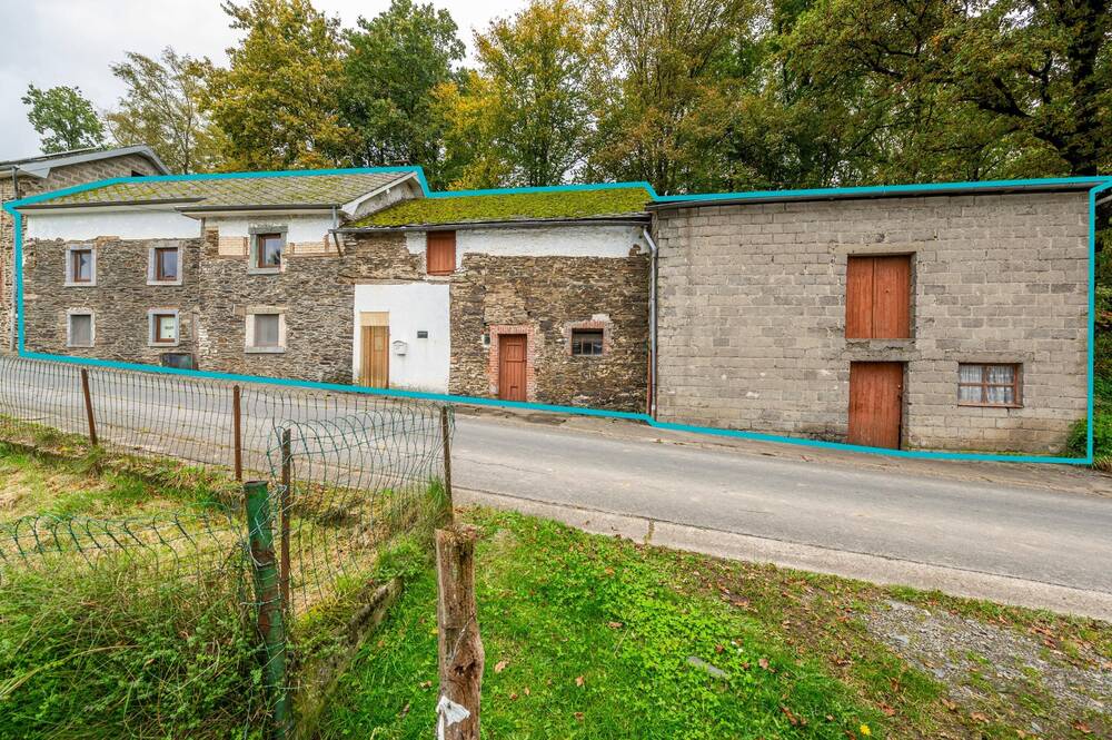 Maison à vendre à Burg-Reuland 4790 65000.00€ 2 chambres 126.00m² - annonce 555870