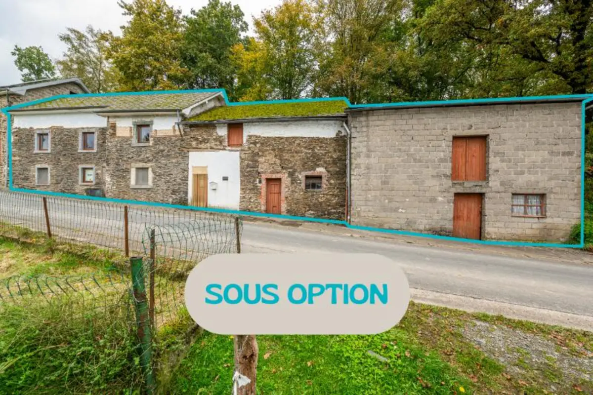 Maison à vendre à Burg-Reuland 4790 55000.00€ 2 chambres 126.00m² - annonce 659886