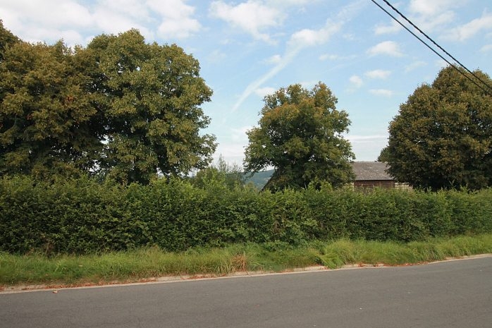 Terrain à vendre à Recht 4780 63000.00€  chambres m² - annonce 566802