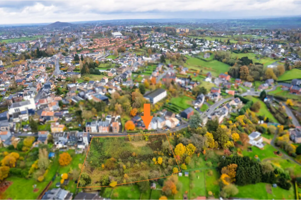 Terrain à vendre à Romsée 4624 450000.00€  chambres m² - annonce 566379