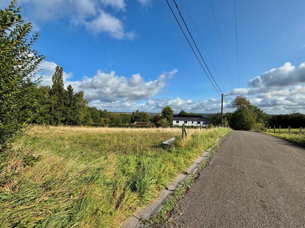Terrain à vendre à Sprimont 4140 229000.00€  chambres m² - annonce 570055