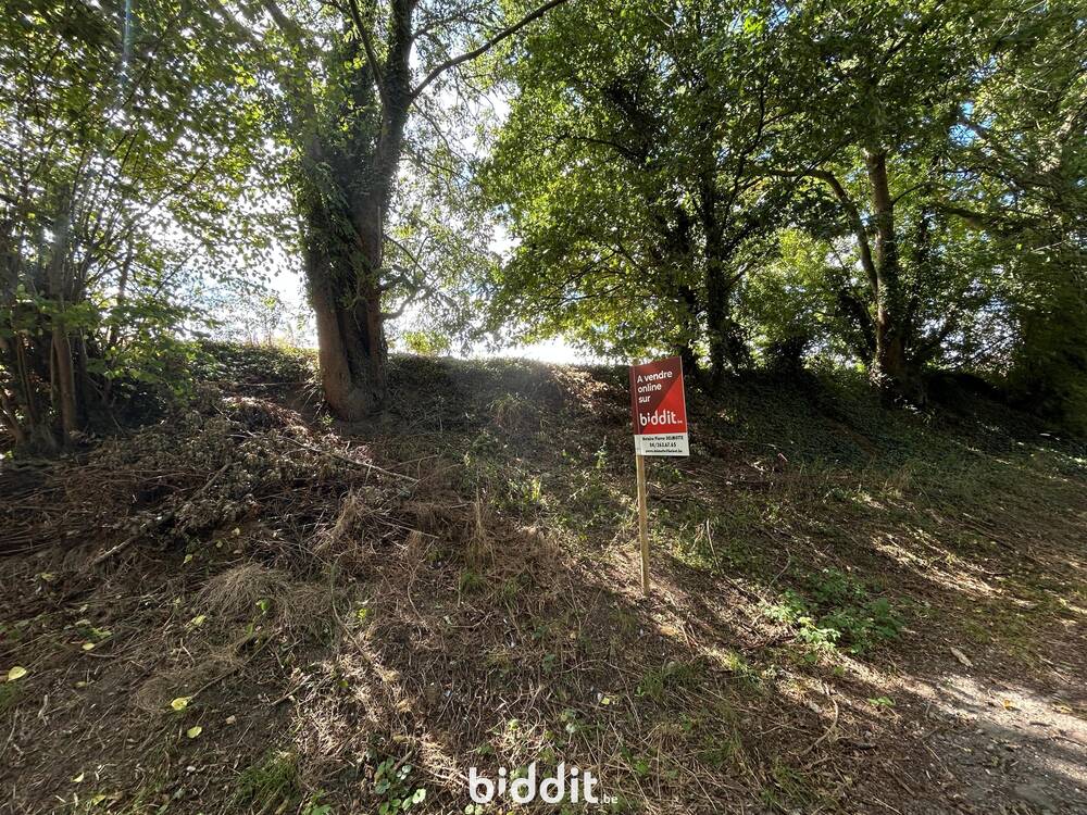 Terrain à vendre à Lantin 4450 35000.00€ chambres m² - annonce 571182