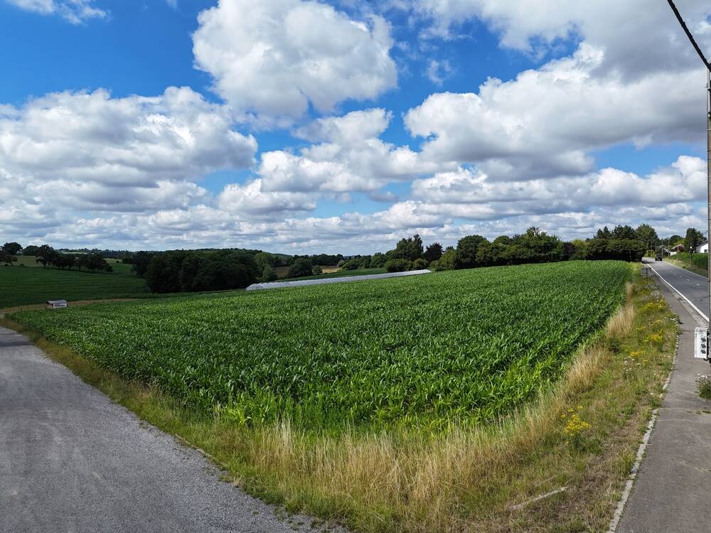 Terrain à vendre à Sprimont 4140 199000.00€  chambres m² - annonce 574736