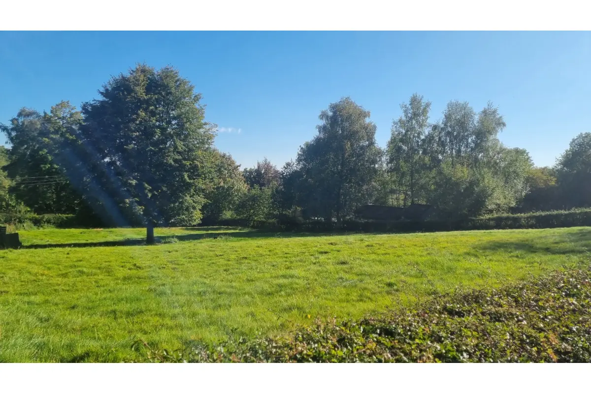 Terrain à vendre à Waimes 4950 115000.00€  chambres m² - annonce 581249