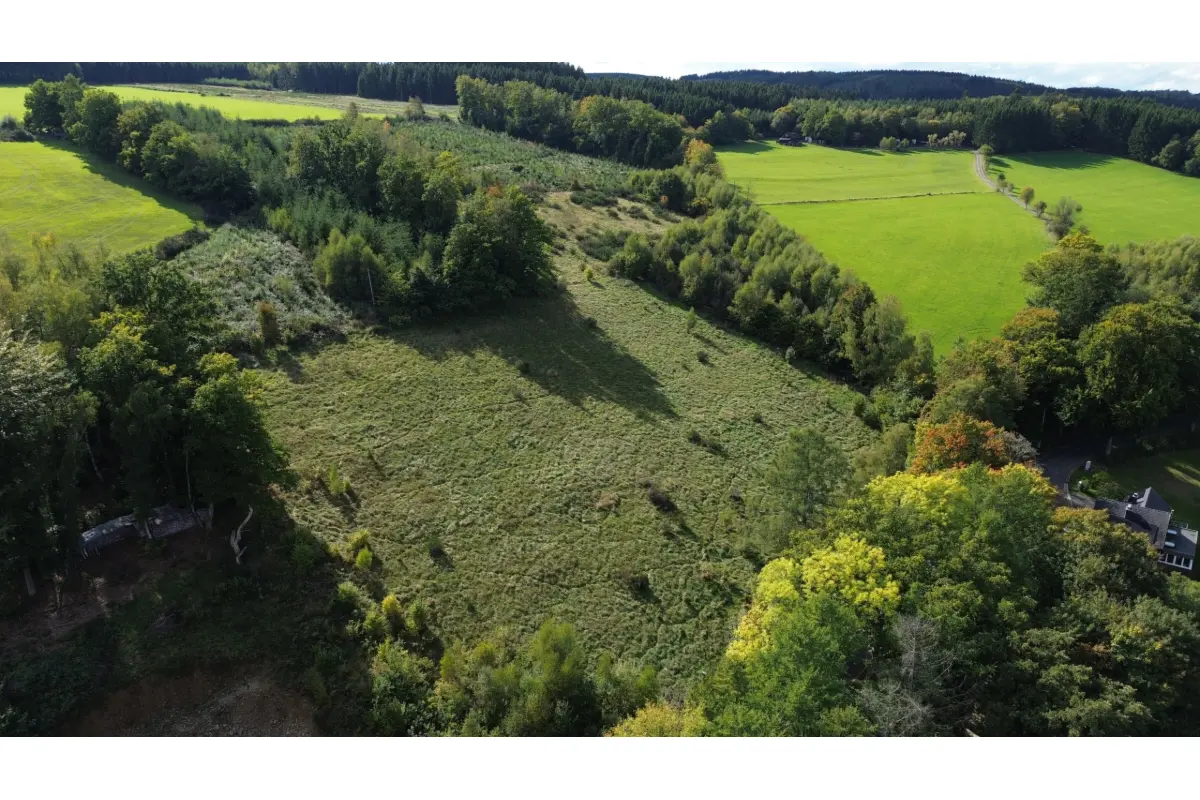 Terrain à vendre à Stavelot 4970 63000.00€  chambres m² - annonce 592434