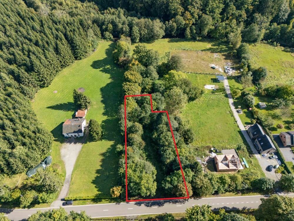 Terrain à bâtir à vendre à Lierneux 4990 119000.00€ chambres m² - annonce 593088