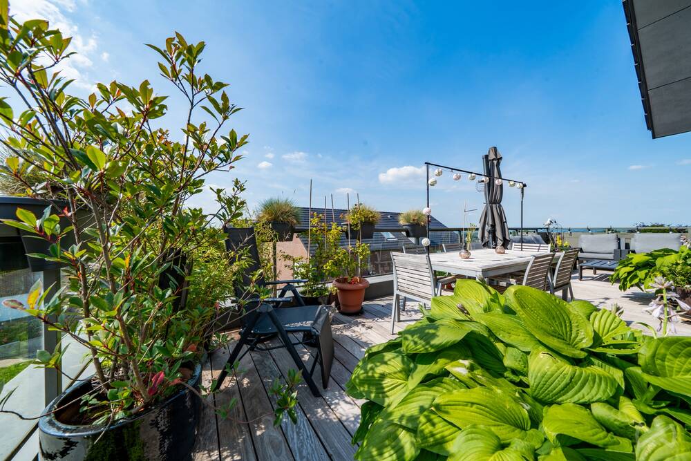 Appartement à vendre à Blégny 4670 499000.00€ 3 chambres 134.00m² - annonce 595173