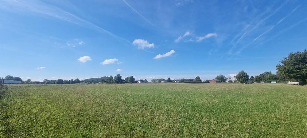 Terrain à bâtir à vendre à Micheroux 4630 345000.00€ chambres m² - annonce 596282