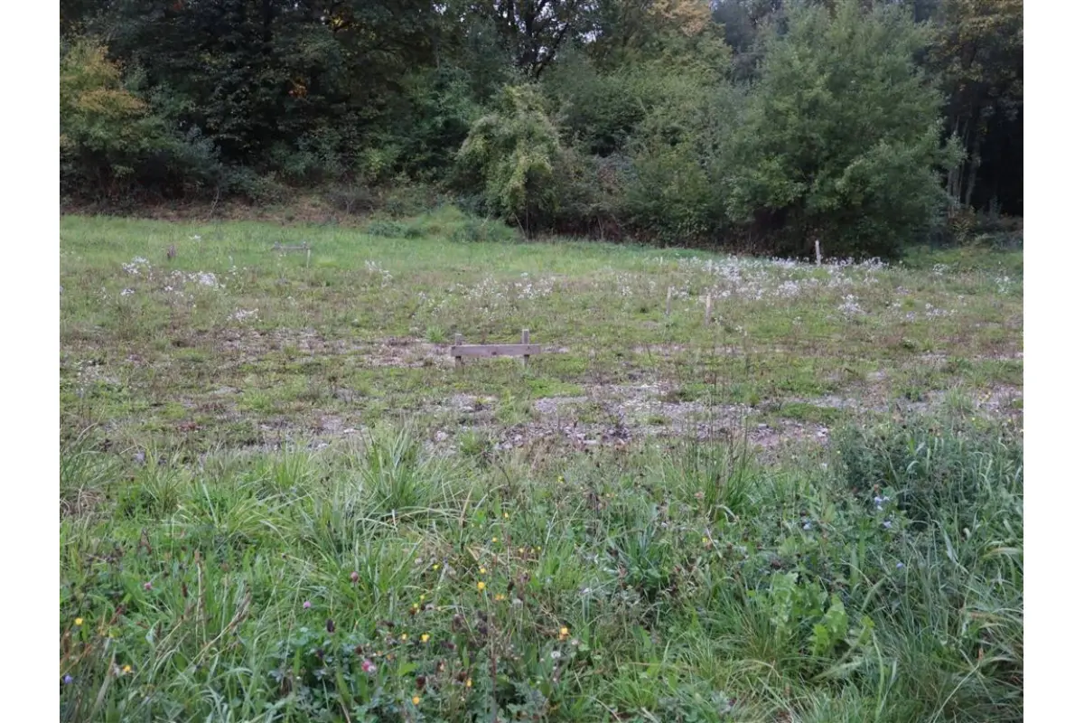 Terrain à vendre à Aywaille 4920 105000.00€  chambres m² - annonce 597154