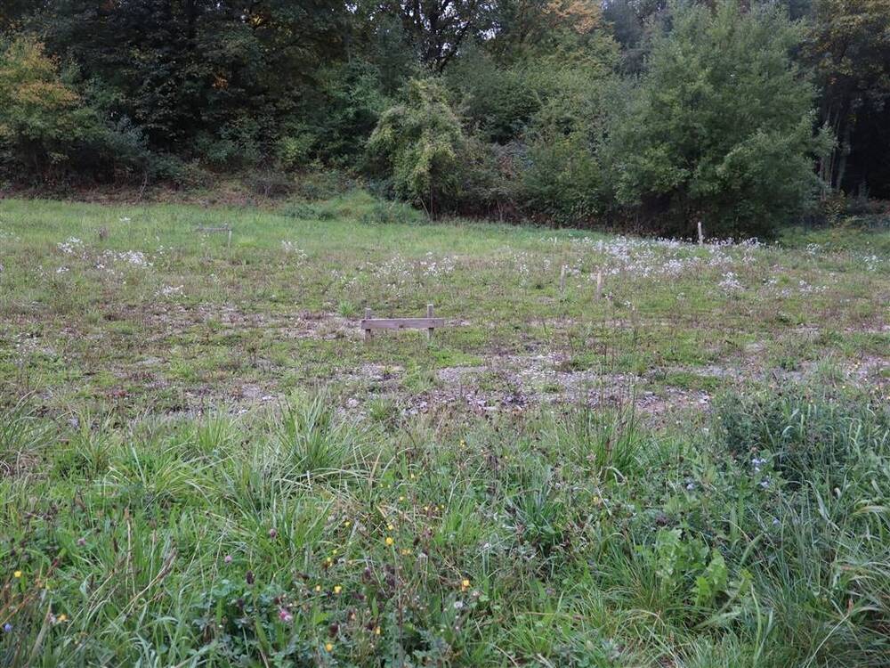 Terrain à vendre à Aywaille 4920 105000.00€ chambres m² - annonce 597154