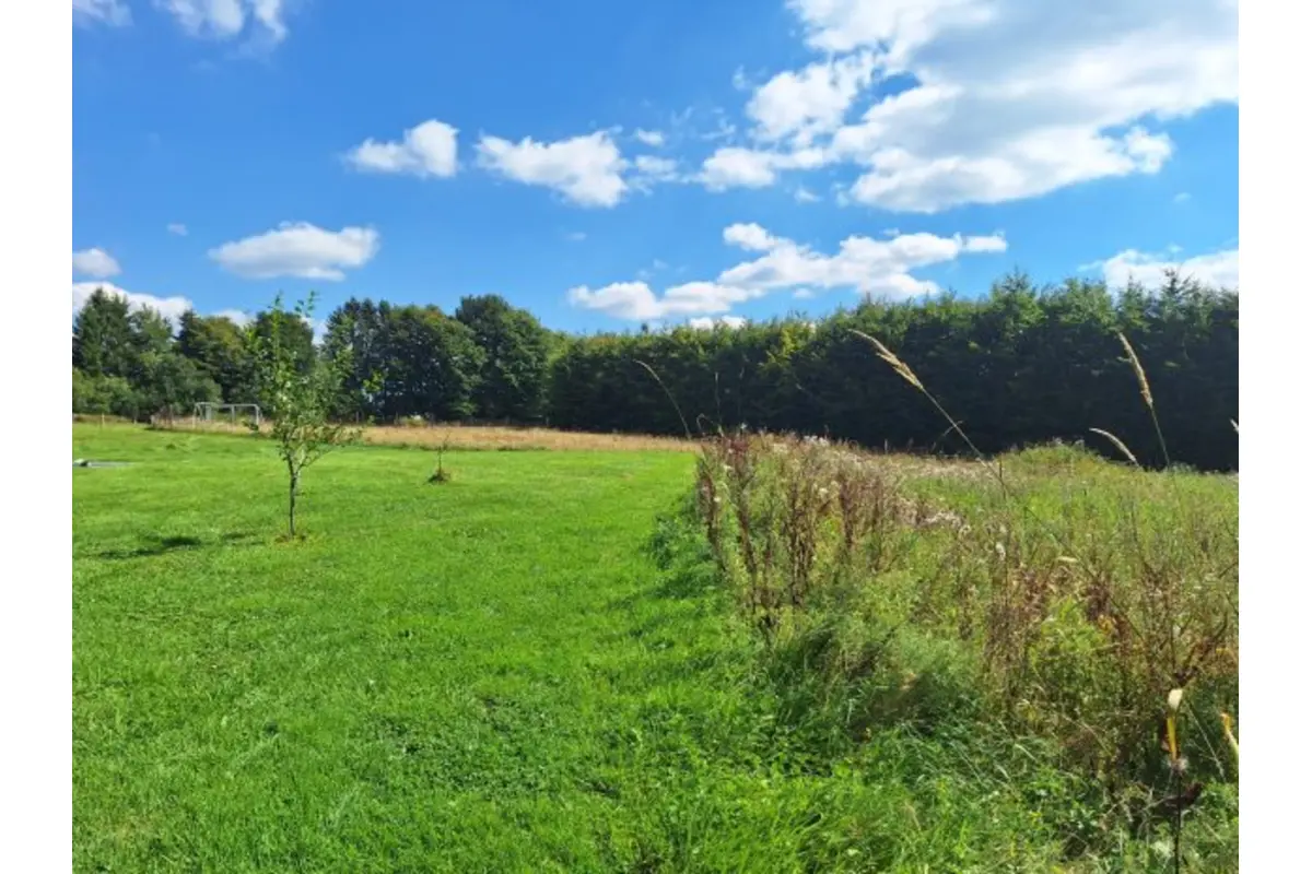 Terrain à vendre à Sourbrodt 4950 122000.00€  chambres m² - annonce 598674