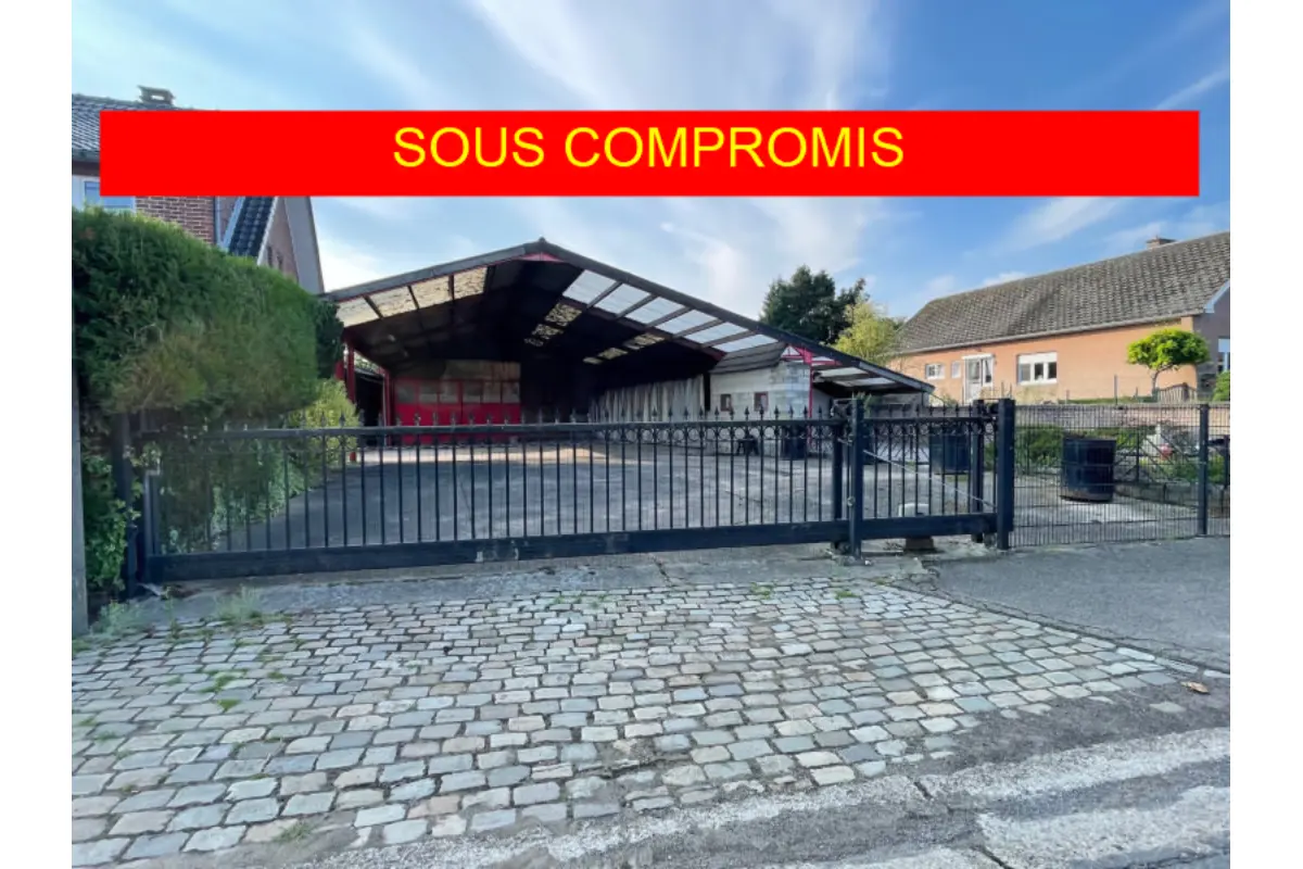 Commerce à vendre à Grandville 4360 198000.00€  chambres m² - annonce 599124