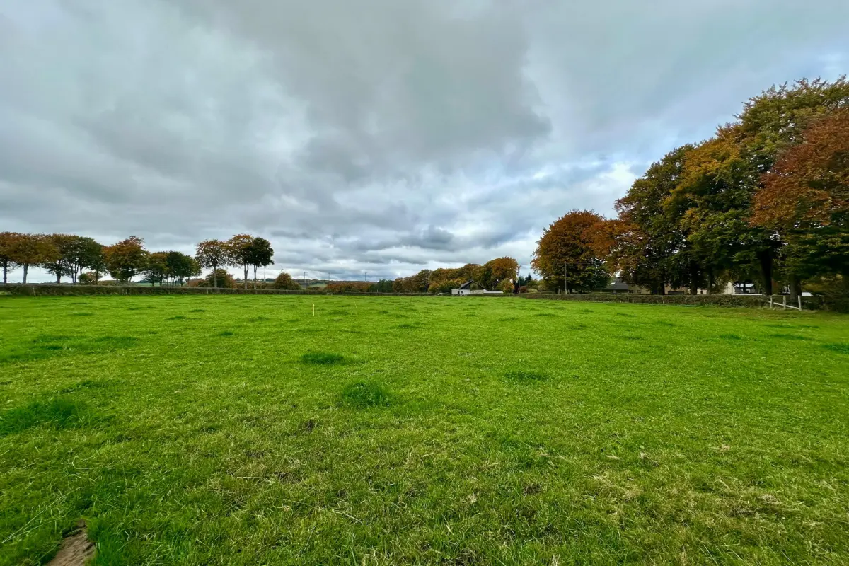 Terrain à vendre à Faymonville 4950 113000.00€  chambres m² - annonce 611239