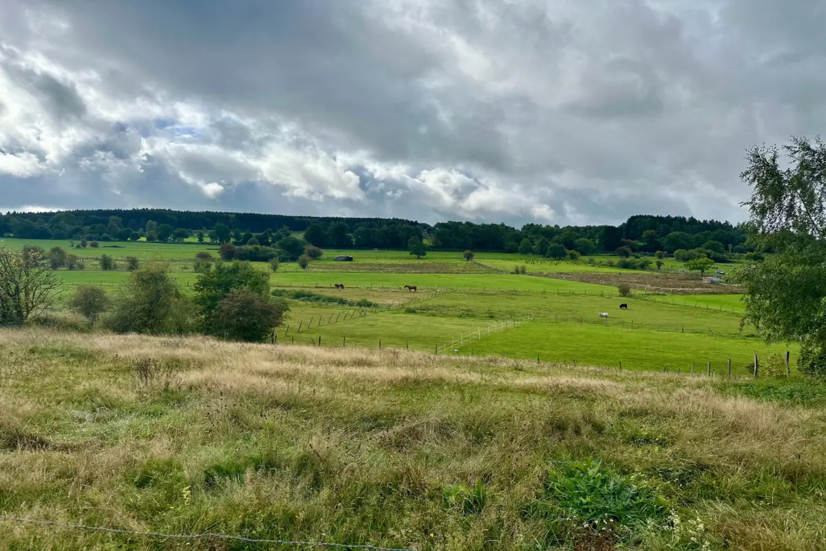 Terrain à vendre à Recht 4780 95000.00€  chambres m² - annonce 612653