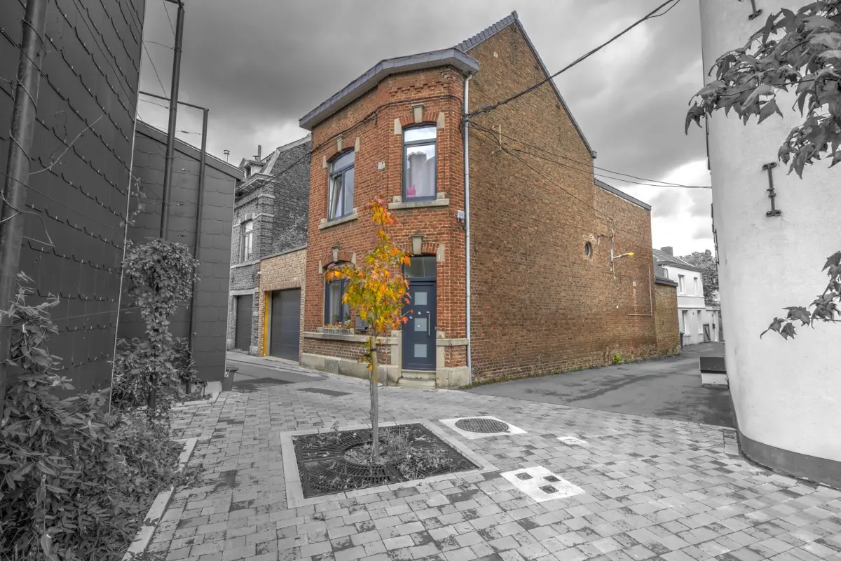 Maison à vendre à Vaux-sous-Chèvremont 4051 249000.00€ 3 chambres 202.00m² - annonce 613559